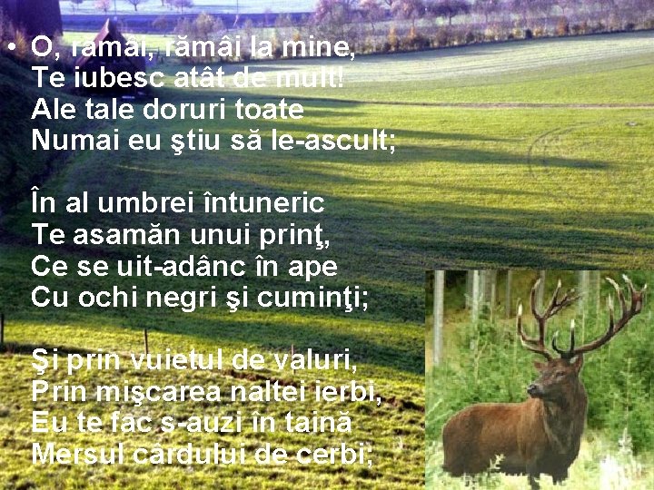  • O, rămâi la mine, Te iubesc atât de mult! Ale tale doruri