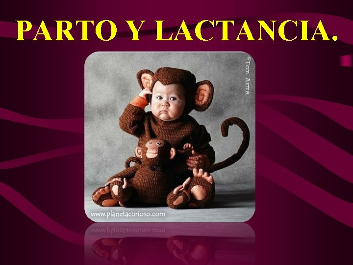 PARTO Y LACTANCIA. 