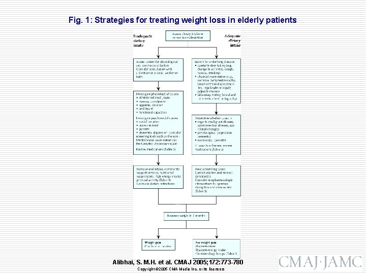 Fig. 1: Strategies for treating weight loss in elderly patients Alibhai, S. M. H.