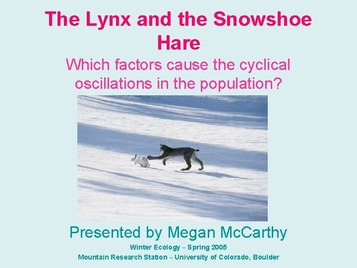 The Lynx and the Snowshoe Hare Which factors cause the cyclical oscillations in the