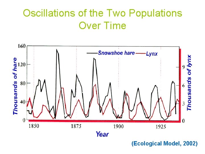 Oscillations of the Two Populations Over Time (Ecological Model, 2002) 