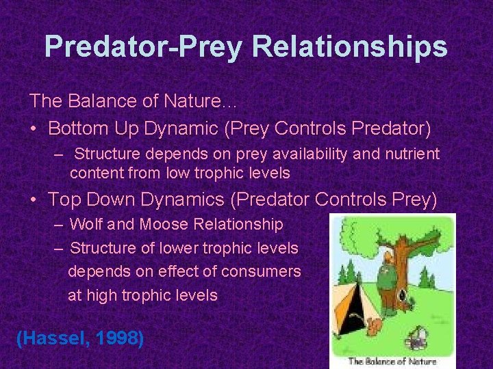 Predator-Prey Relationships The Balance of Nature… • Bottom Up Dynamic (Prey Controls Predator) –