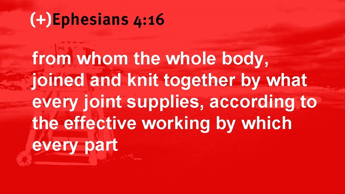 Ephesians 4: 16 from whom the whole body, joined and knit together by what