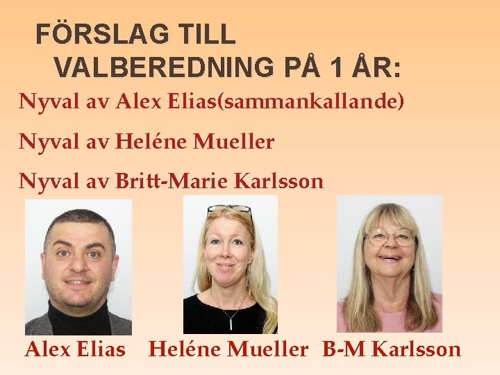 FÖRSLAG TILL VALBEREDNING PÅ 1 ÅR: Nyval av Alex Elias(sammankallande) Nyval av Heléne Mueller