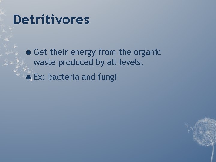 Detritivores Get their energy from the organic waste produced by all levels. Ex: bacteria Detritivores Get their energy from the organic waste produced by all levels. Ex: bacteria