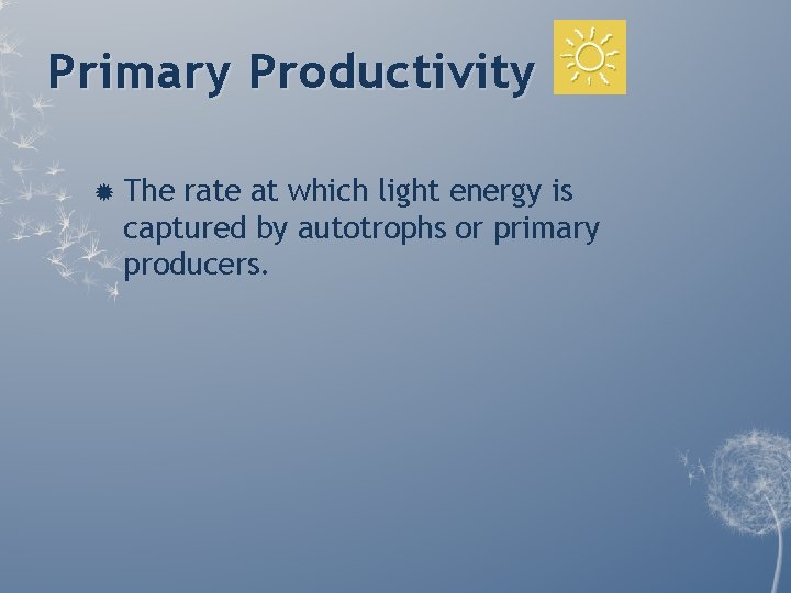 Primary Productivity The rate at which light energy is captured by autotrophs or primary Primary Productivity The rate at which light energy is captured by autotrophs or primary