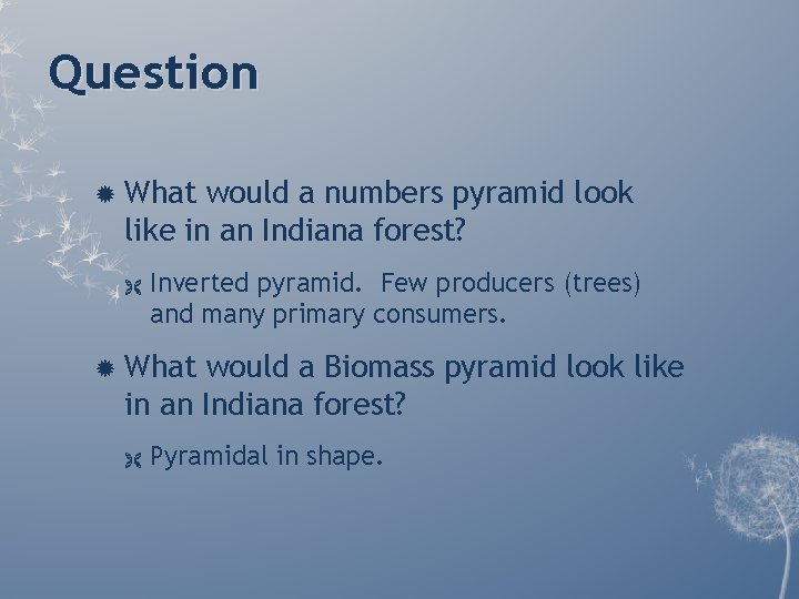Question What would a numbers pyramid look like in an Indiana forest? Ë Inverted Question What would a numbers pyramid look like in an Indiana forest? Ë Inverted