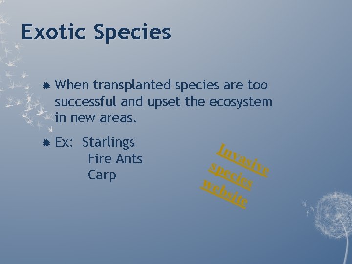 Exotic Species When transplanted species are too successful and upset the ecosystem in new Exotic Species When transplanted species are too successful and upset the ecosystem in new