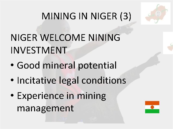 MINING IN NIGER (3) NIGER WELCOME NINING INVESTMENT • Good mineral potential • Incitative