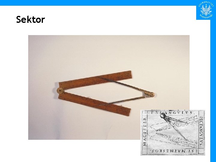 Sektor 