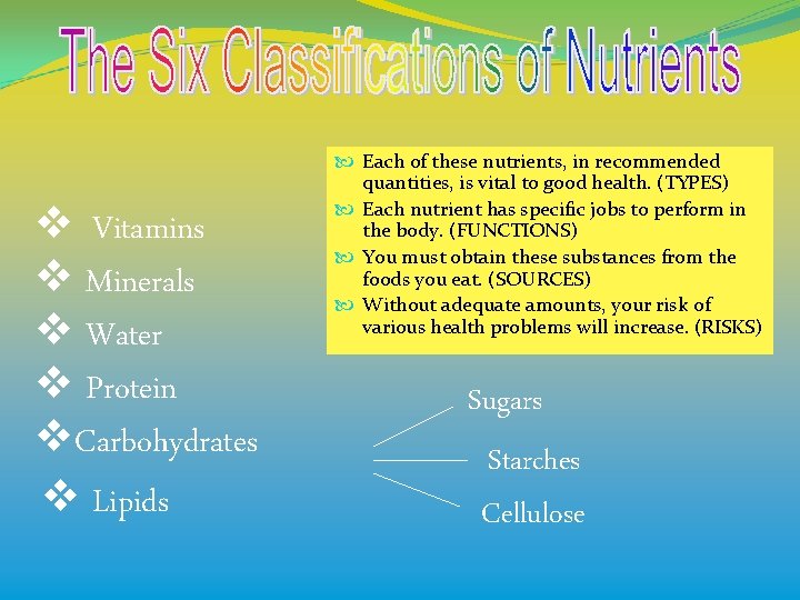 v Vitamins v Minerals v Water v Protein v. Carbohydrates v Lipids Each of