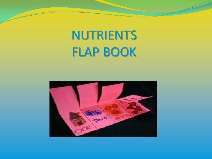 NUTRIENTS FLAP BOOK 