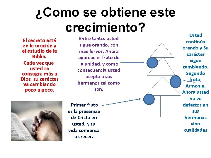 ¿Como se obtiene este crecimiento? El secreto está en la oración y el estudio ¿Como se obtiene este crecimiento? El secreto está en la oración y el estudio
