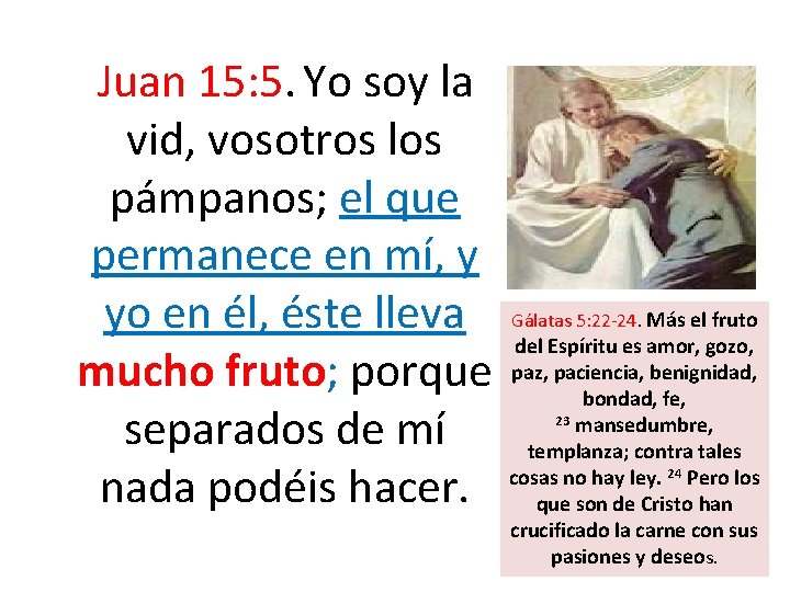 Juan 15: 5. Yo soy la vid, vosotros los pámpanos; el que permanece Juan 15: 5. Yo soy la vid, vosotros los pámpanos; el que permanece