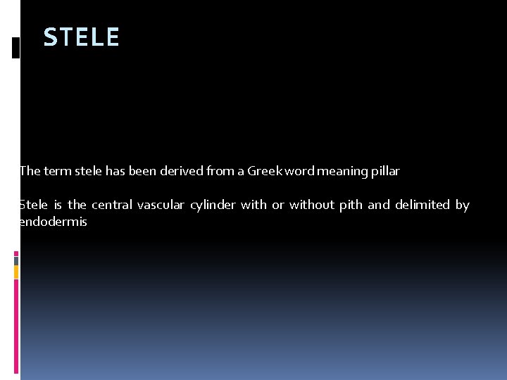 STELE The term stele has been derived from a Greek word meaning pillar Stele