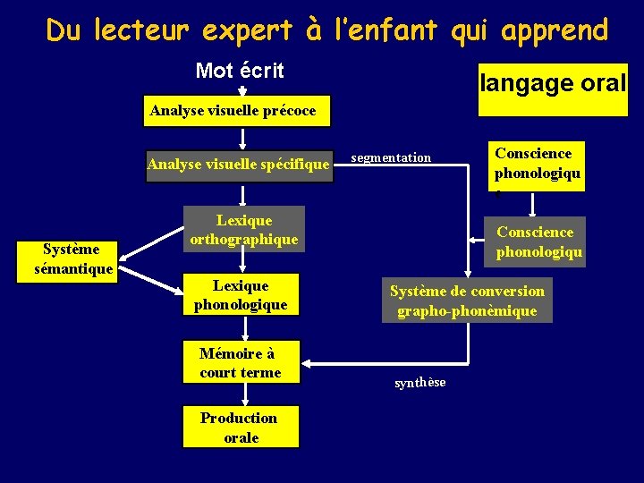 Du lecteur expert à l’enfant qui apprend Mot écrit langage oral Analyse visuelle précoce