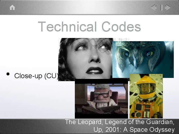 Technical Codes • Close-up (CU) The Leopard, Legend of the Guardian, Up, 2001: A