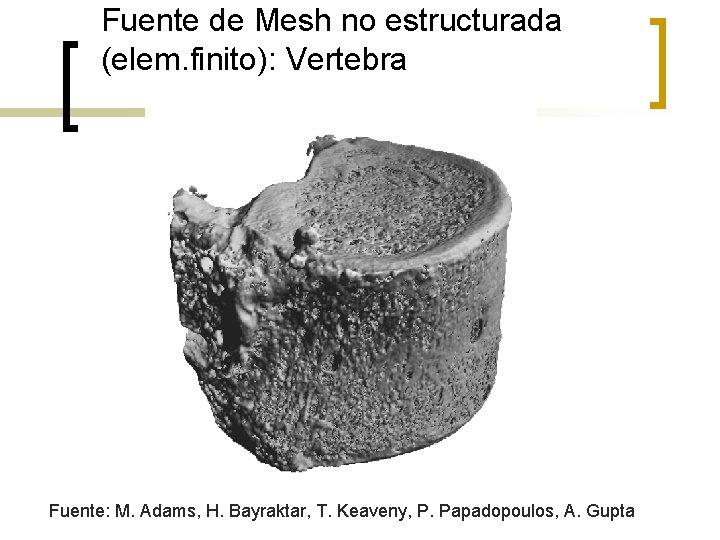 Fuente de Mesh no estructurada (elem. finito): Vertebra Fuente: M. Adams, H. Bayraktar, T.