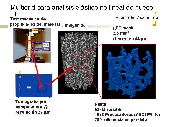 Multigrid para análisis elástico no lineal de hueso Test mecánico de propiedades del material