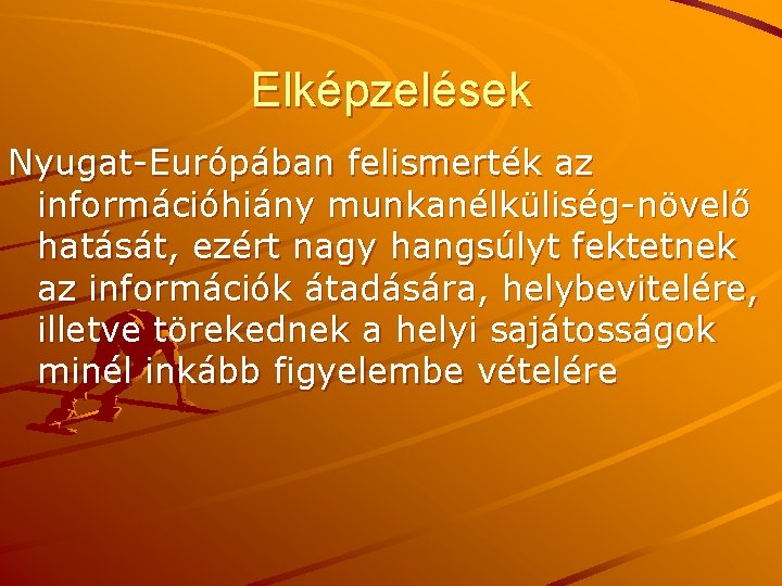 Elképzelések Nyugat-Európában felismerték az információhiány munkanélküliség-növelő hatását, ezért nagy hangsúlyt fektetnek az információk átadására,