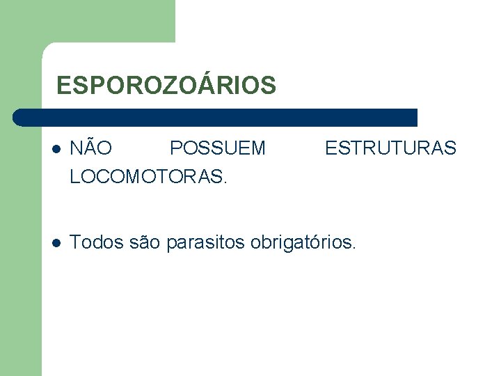 ESPOROZOÁRIOS l NÃO POSSUEM LOCOMOTORAS. ESTRUTURAS l Todos são parasitos obrigatórios. 