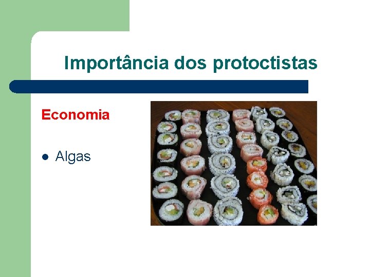 Importância dos protoctistas Economia Alimento l Algas Indústria 