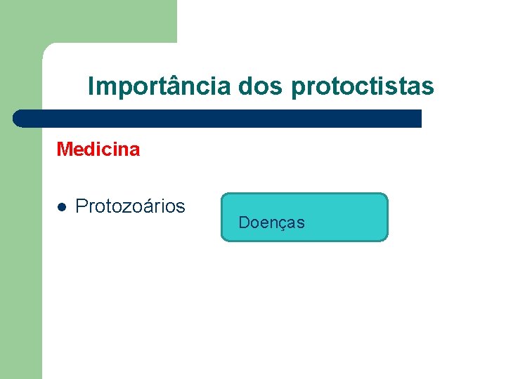 Importância dos protoctistas Medicina l Protozoários Doenças 