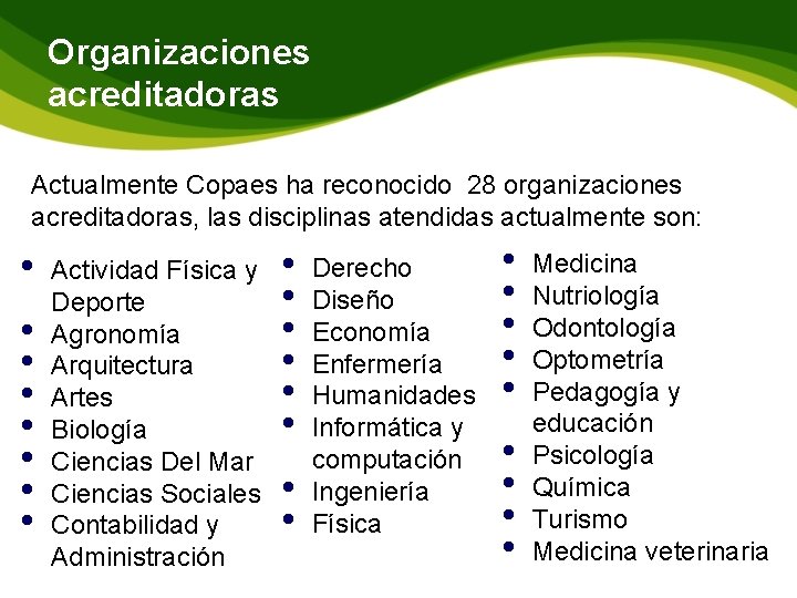 Organizaciones acreditadoras Actualmente Copaes ha reconocido 28 organizaciones acreditadoras, las disciplinas atendidas actualmente son: