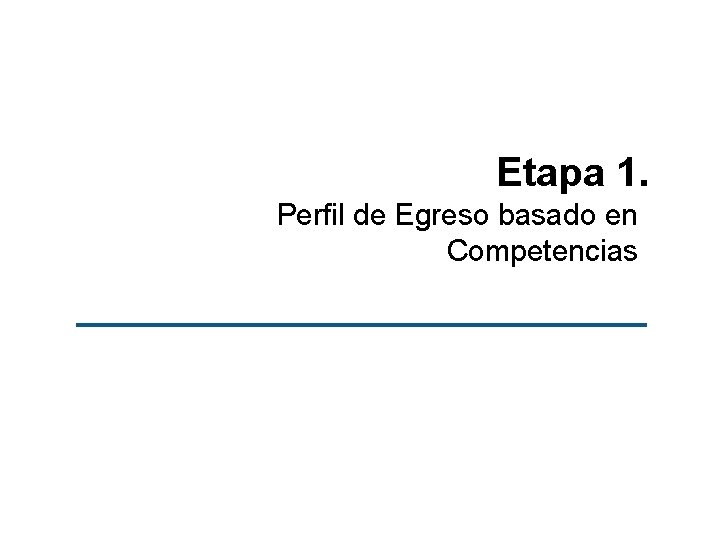 Etapa 1. Perfil de Egreso basado en Competencias 
