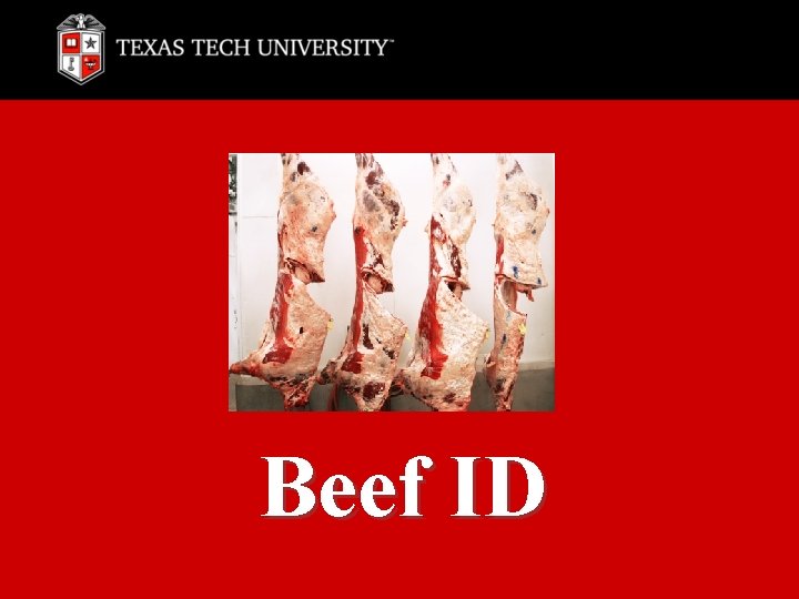 Beef ID 