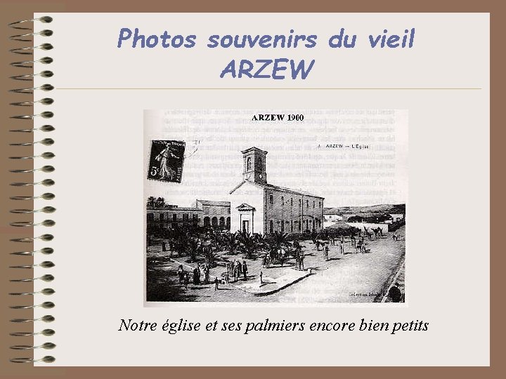 Photos souvenirs du vieil ARZEW Notre église et ses palmiers encore bien petits 