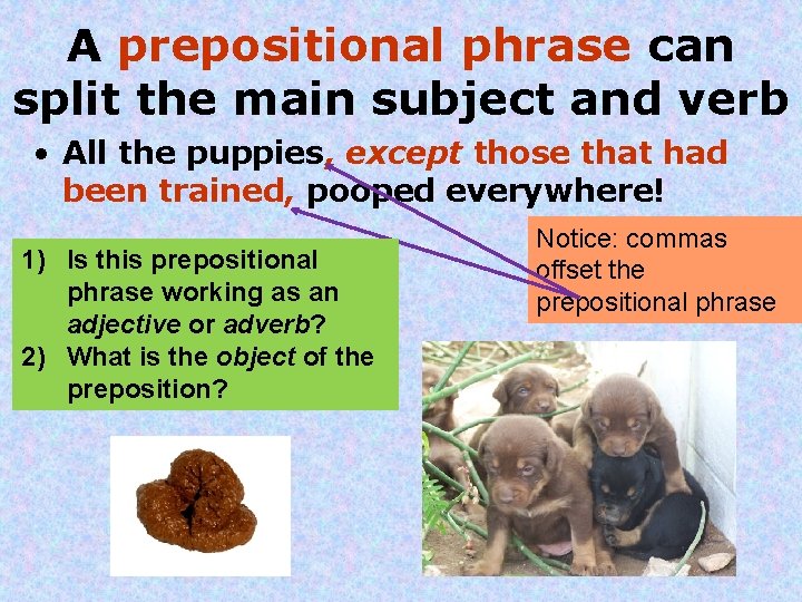 A prepositional phrase can split the main subject and verb • All the puppies,