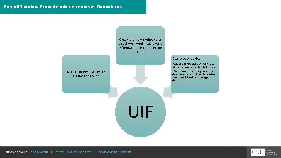 Precalificación. Procedencia de recursos financieros Organigrama de principales directivos, identificaciones e información de cada