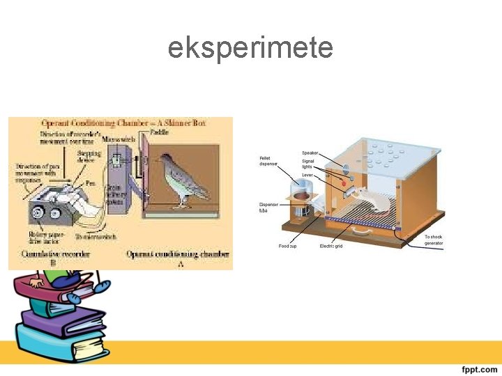 eksperimete 