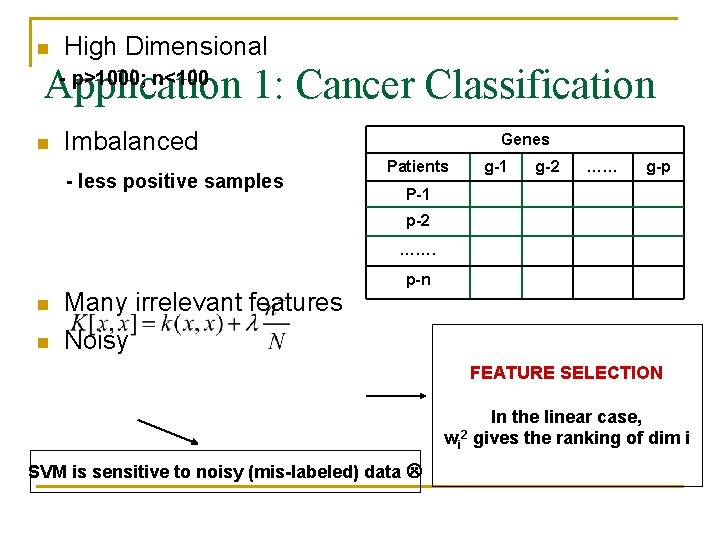 n High Dimensional - p>1000; n<100 Application 1: Cancer Classification n Imbalanced - less n High Dimensional - p>1000; n<100 Application 1: Cancer Classification n Imbalanced - less