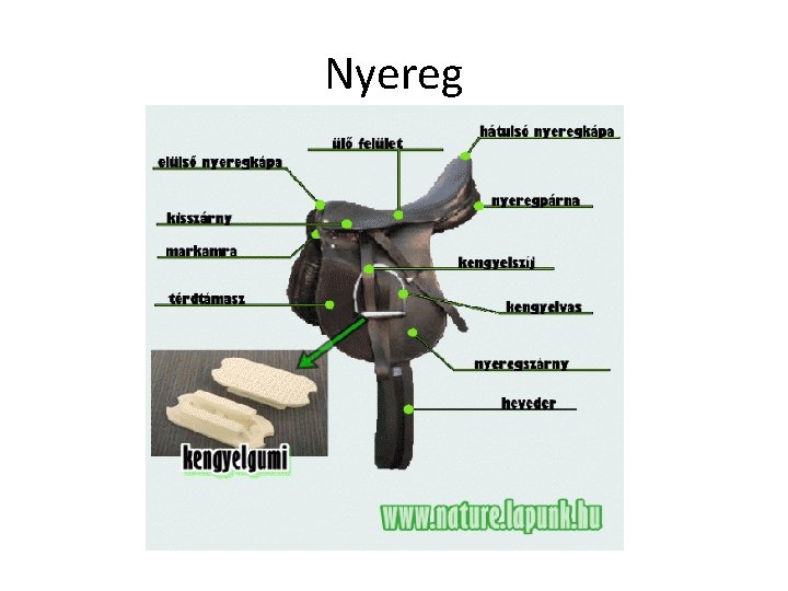 Nyereg 