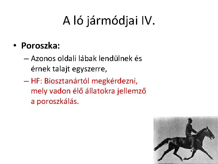 A ló jármódjai IV. • Poroszka: – Azonos oldali lábak lendülnek és érnek talajt