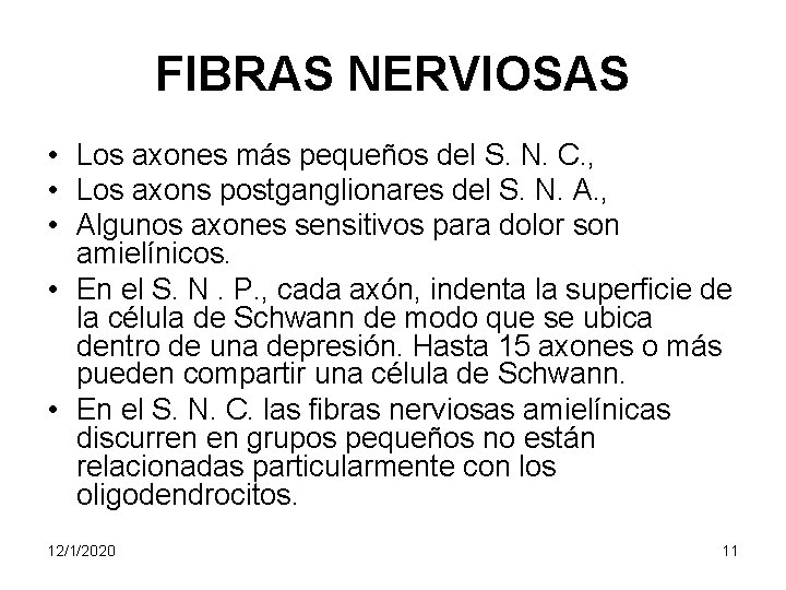 FIBRAS NERVIOSAS • Los axones más pequeños del S. N. C. , • Los