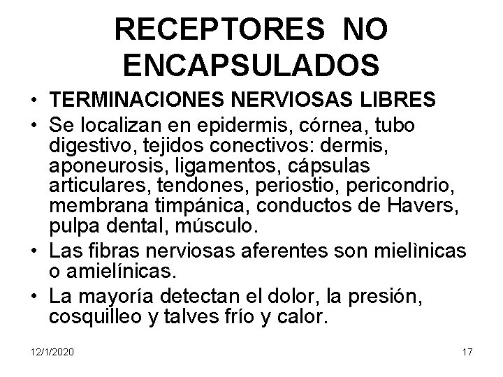 RECEPTORES NO ENCAPSULADOS • TERMINACIONES NERVIOSAS LIBRES • Se localizan en epidermis, córnea, tubo