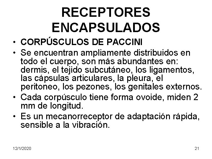 RECEPTORES ENCAPSULADOS • CORPÚSCULOS DE PACCINI • Se encuentran ampliamente distribuidos en todo el