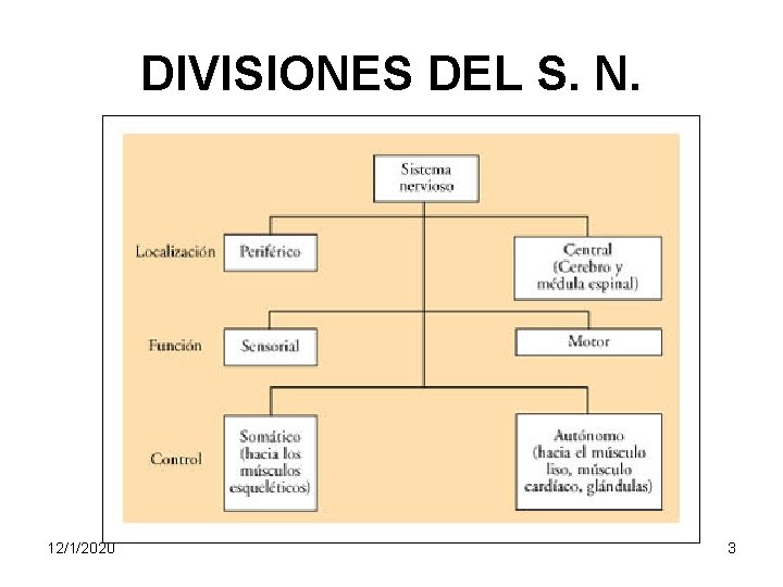 DIVISIONES DEL S. N. 12/1/2020 3 