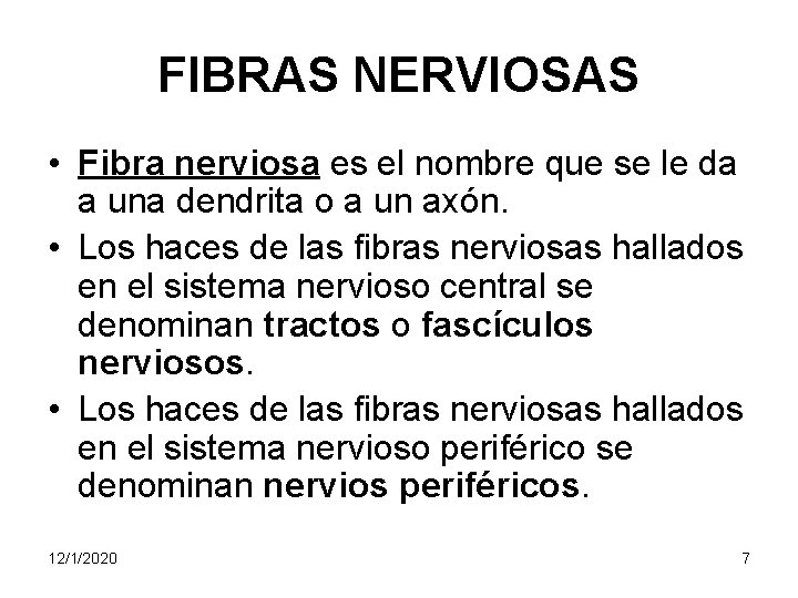 FIBRAS NERVIOSAS • Fibra nerviosa es el nombre que se le da a una