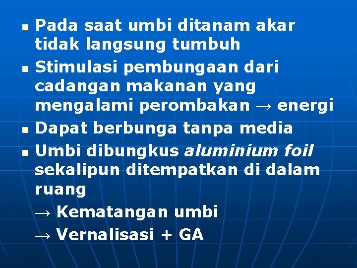 n n Pada saat umbi ditanam akar tidak langsung tumbuh Stimulasi pembungaan dari cadangan