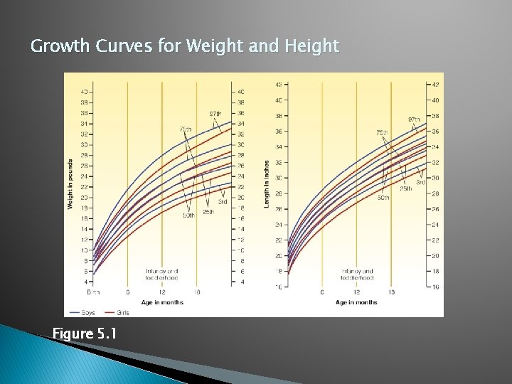 Growth Curves for Weight and Height Figure 5. 1 