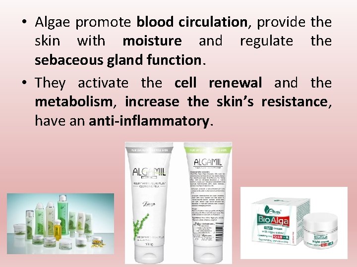 • Algae promote blood circulation, provide the skin with moisture and regulate the • Algae promote blood circulation, provide the skin with moisture and regulate the