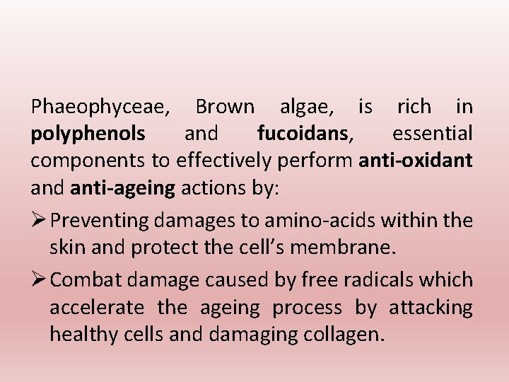 Phaeophyceae, Brown algae, is rich in polyphenols and fucoidans, essential components to effectively perform Phaeophyceae, Brown algae, is rich in polyphenols and fucoidans, essential components to effectively perform