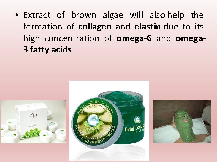 • Extract of brown algae will also help the formation of collagen and • Extract of brown algae will also help the formation of collagen and