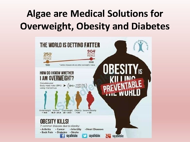 Algae are Medical Solutions for Overweight, Obesity and Diabetes Algae are Medical Solutions for Overweight, Obesity and Diabetes