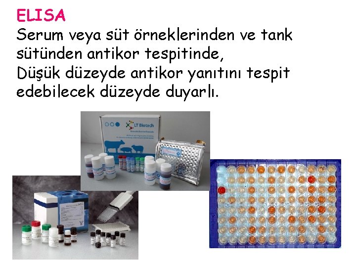 ELISA Serum veya süt örneklerinden ve tank sütünden antikor tespitinde, Düşük düzeyde antikor yanıtını