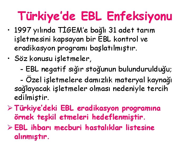 Türkiye’de EBL Enfeksiyonu • 1997 yılında TİGEM’e bağlı 31 adet tarım işletmesini kapsayan bir